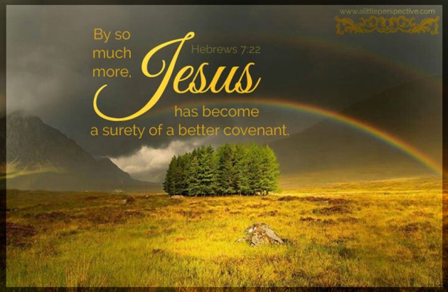 By so much more, Jesus has become a surety of a better covenant.